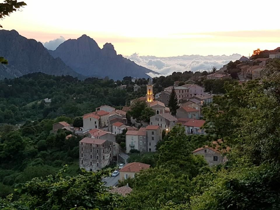 Corse