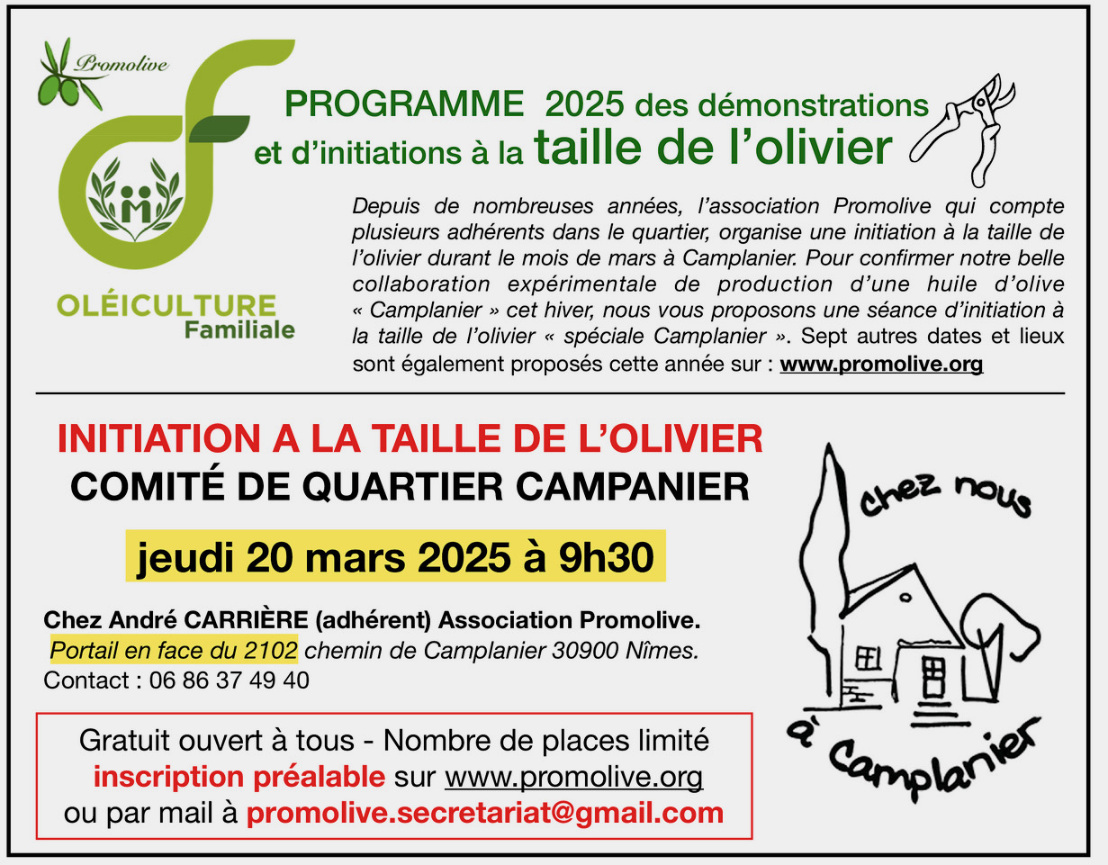 Taille camplanier 2025